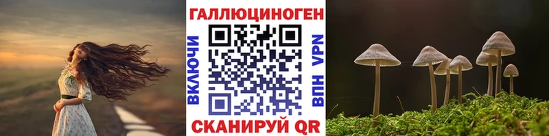 МЕГА tor  купить наркотики сайты  Камбарка  Псилоцибиновые грибы Cubensis 