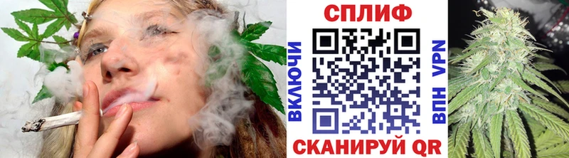 Каннабис OG Kush  Камбарка 